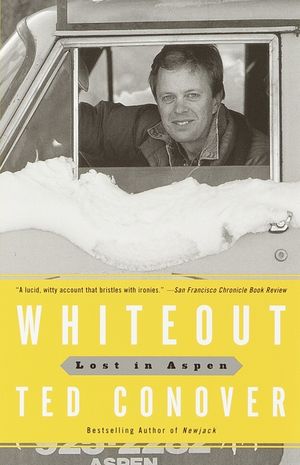 Whiteout: Lost in Aspen image number 0