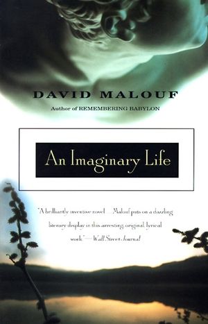 An Imaginary Life image number 0