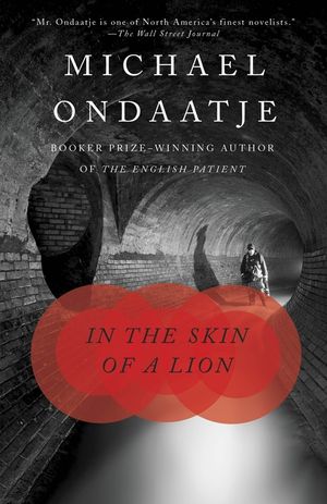 In the Skin of a Lion image number 0