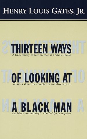 Thirteen Ways of Looking at a Black Man image number 0