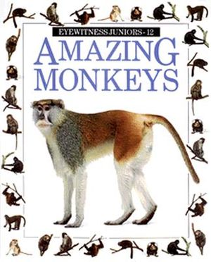 Amazing Monkeys image number 0