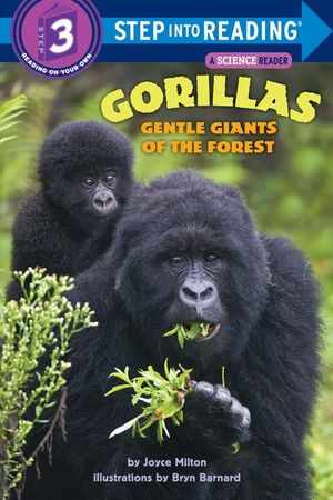 Gorillas: Gentle Giants of the Forest image number 0