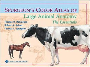 Spurgeon's Color Atlas of Large Animal Anatomy: The Essentials image number 0