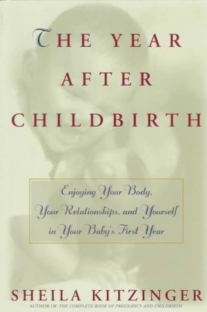 The Year After Childbirth image number 0