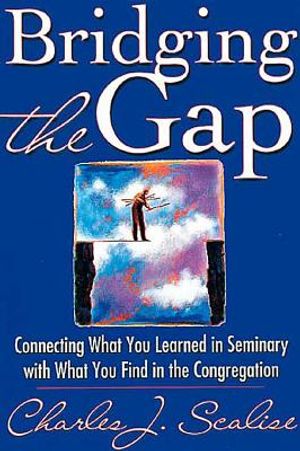 Bridging the Gap image number 0