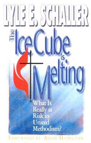 The Ice Cube Is Melting: What Is Really at Risk in United Methodism? image number 0