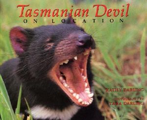 Tasmanian Devil: On Location image number 0