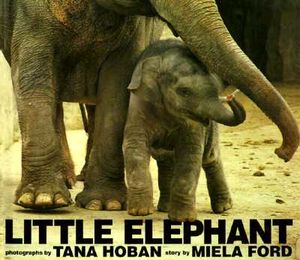 Little Elephant image number 0