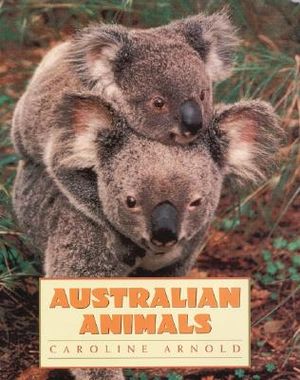 Australian Animals image number 0
