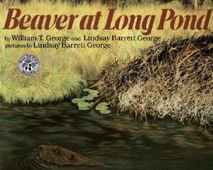 Beaver at Long Pond image number 0