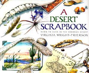 A Desert Scrapbook: Dawn to Dusk in the Sonoran Desert image number 0