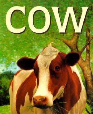 Cow image number 0