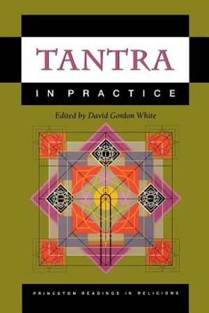 Tantra in Practice image number 0