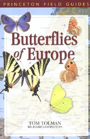 Butterflies of Europe image number 0
