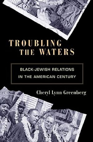 Troubling the Waters: Black-Jewish Relations in the American Century image number 0