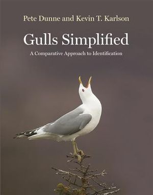 Gulls Simplified: A Comparative Approach to Identification image number 0
