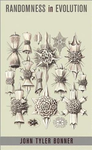 Randomness in Evolution image number 0