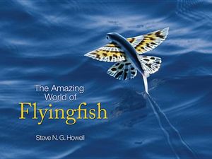 The Amazing World of Flyingfish image number 0