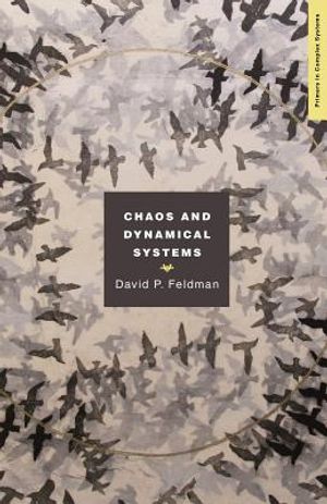 Chaos and Dynamical Systems image number 0