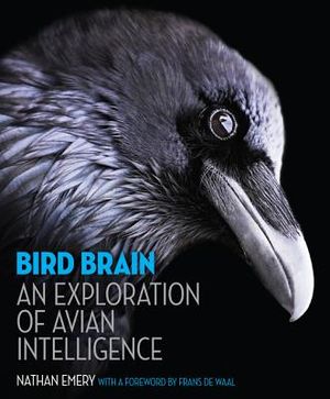 Bird Brain: An Exploration of Avian Intelligence image number 0