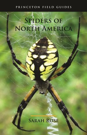 Spiders of North America image number 0