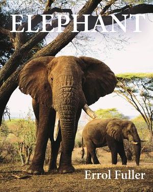 Elephant image number 0