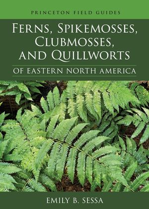 Ferns, Spikemosses, Clubmosses, and Quillworts of Eastern North America image number 0
