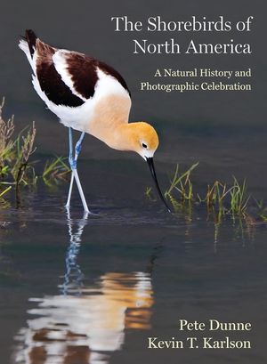 The Shorebirds of North America: A Natural History and Photographic Celebration image number 0