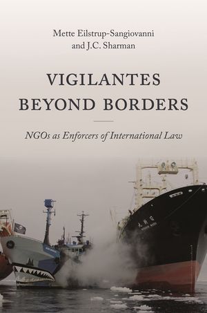 Vigilantes Beyond Borders: Ngos as Enforcers of International Law image number 0