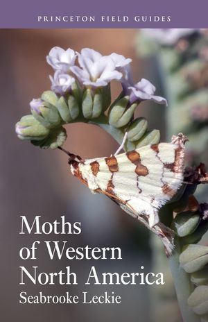 Moths of Western North America image number 0