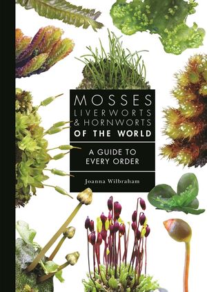 Mosses, Liverworts, and Hornworts of the World: A Guide to Every Order image number 0