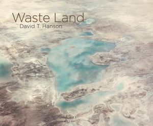 David T. Hanson: Waste Land image number 0