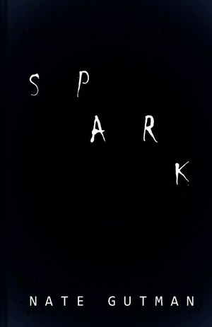 Spark image number 0