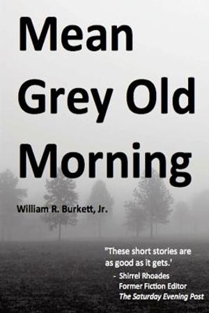 Mean Grey Old Morning image number 0