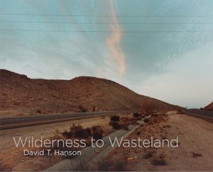 David T. Hanson: Wilderness to Wasteland image number 0