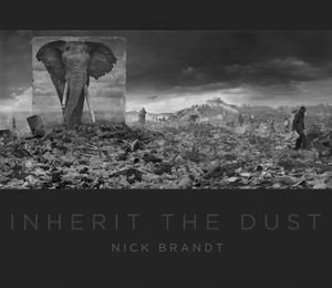 Nick Brandt: Inherit the Dust image number 0