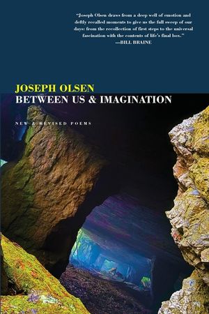 Between Us And Imagination: New, Selected, & Revised Poems image number 0