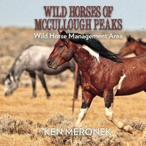 Wild Horses of McCullough Peaks image number 0