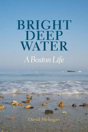 Bright Deep Water: A Boston Life image number 0