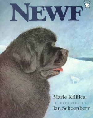 Newf image number 0