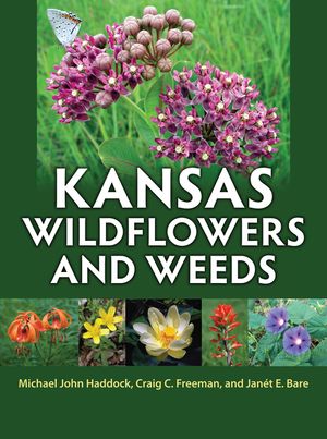 Kansas Wildflowers and Weeds image number 0