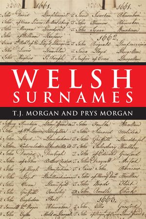 Welsh Surnames image number 0