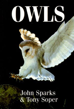Owls image number 0