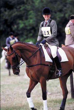 Training the Young Horse: Schooling for Success image number 0