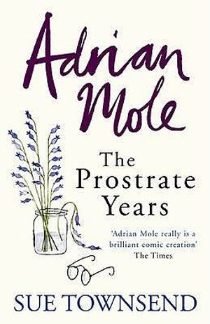 Adrian Mole: The Prostrate Years image number 0