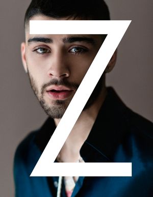 Zayn: The Official Autobiography image number 0