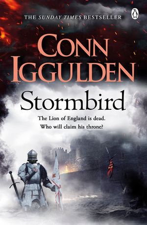 Stormbird image number 0