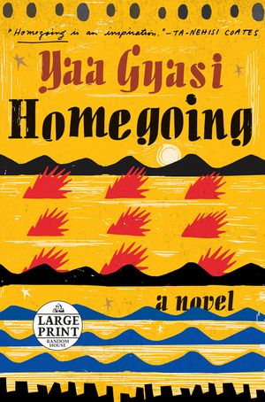 Homegoing image number 0