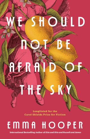 We Should Not Be Afraid of the Sky image number 0
