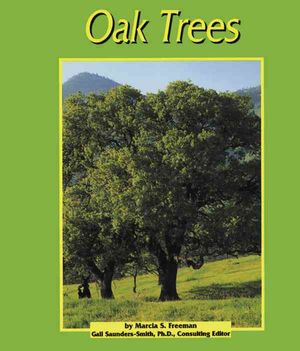 Oak Trees image number 0